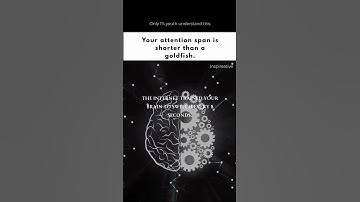 Your Attention Span is Shorter Than a Goldfish! 🐠