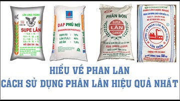 Nông dân cần biêt-hiểu về Lân, cách sử dụng phân Lân hiệu quả cao ít tốn kém