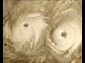 Polar vortices on venus