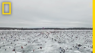 Watch: Nearly 10,000 People Ice Fish for Charity | National Geographic