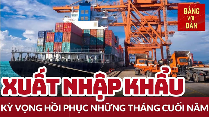 Đánh giá tình hình xuất nhập khẩu của việt nam năm 2024