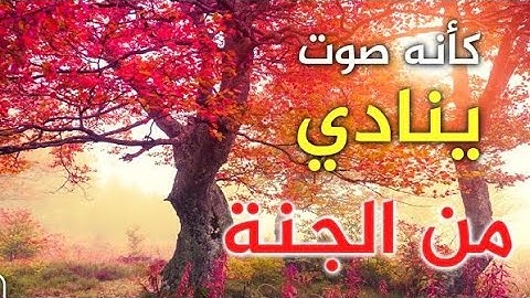 سورة العلق (محمد الشناوي) إستمع وأرح قلبك 💚 تلاوة جد هادئة