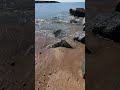 Calm in 60 seconds. #selfsteem #happy #beach #relax #calm
