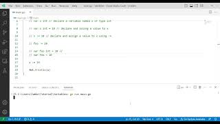 #3 Golang Variables