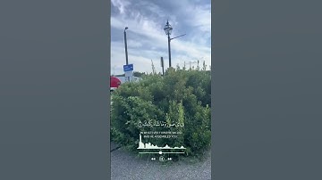 #❤️ ﴿ يَا أَيُّهَا الْإِنسَانُ مَا غَرَّكَ بِرَبِّكَ الْكَرِيمِ﴾#[ سورة الانفطار: 6]❤️