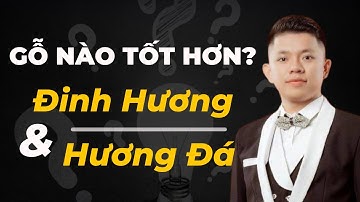 Tư Vấn Tượng Gỗ: Nên Chơi Gỗ Đinh Hương Hay Hương Đá | Đồ Gỗ Mạnh Sơn