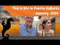 This is Life in Puerto Vallarta January 2024