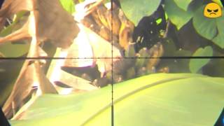 Berburu Dengan Goppul Night Furry First Videos