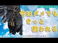 クジラアタマの王様/伊坂幸太郎　感想・名言の紹介