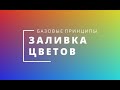 Мыловарение: Базовые принципы заливки сложных цветов