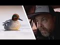 PERFECT way to photograph birds? //  BIRD PHOTOGRAPHY - waterfowl