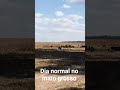 #matogrosso #sorrisomt #agro #naturezamisteriosa