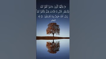 حالات واتس واتساب دينية | قران كريم المنشاوي