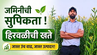 हिरवळीची खते : जमिनीची सुपीकता वाढवण्याचा सर्वोत्तम मार्ग 🌱Improve Soil Fertility? Abhay Ghadge 