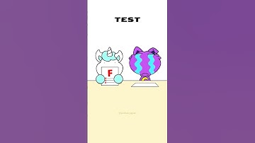 CatNap Failed The School Test🤣Smiling Critters POPPY PLAYTIME CHAPTER 3 Funny Animation #school