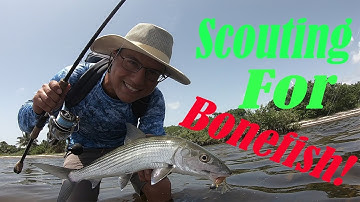 Scouting for a new BONEFISH spot!! (signs to look for when finding a good spot)