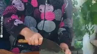 الطبخ في الهواء الطلق cooking