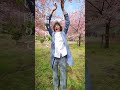 #出会えた時は笑っていたいね - 雨先案内人「はるのうた」  #癒しの歌 #springsong #春 #桜 #桜満開