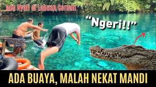 [VIRAL] Buaya Muncul di Wisata Labuan Cermin, Pengunjung Tidak Takut Mandi, Begini Penampakannya