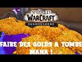 World of warcraft tuto po comment faire 15 000 po  5 minutes 