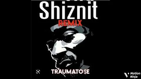 THE SHIZNIT REMIX (2020) #hiphop #snoopdogg #traumatose