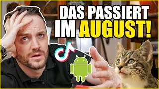 Das passiert alles im August 2023 | Herr Anwalt