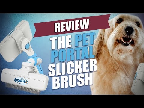 The Pet Portal Slicker Brush Review