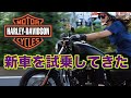 【ハーレー新車初体験】アイアン?スポーツスター試乗してみた【初ディーラー】