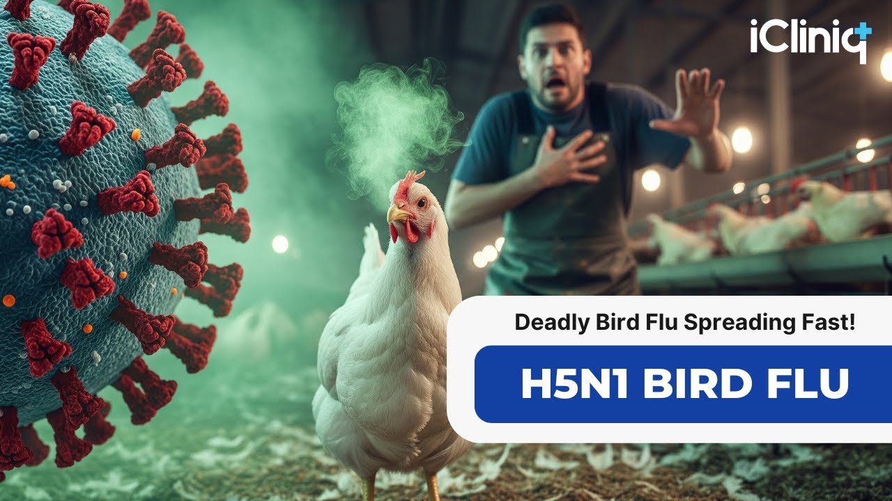 H5N1 Bird Flu: Should You Be Concerned? Symptoms, Spread & Safety Tips ...