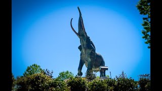 Alabama relocates "Tuska" the Elephant statue to Bryant-Denny Stadium