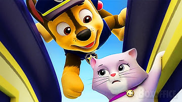 All the PAW Patrol Best MISSIONS 🌀 4K