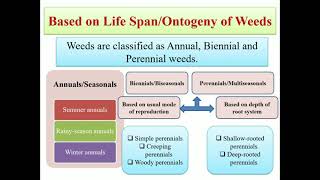 Classification of weeds based on life span/Ontogeny