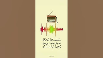 الراحة النفسية ❤️تلاوة مؤثرة بصوت جميل جدا ⚘️ حالات واتس اب قرآن كريم 🌷 Quran Status ⚘️