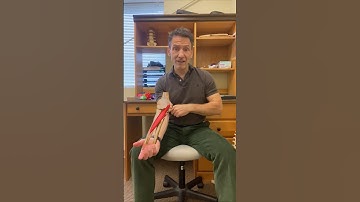 Biceps Tendonitis Treatment - Fascial Release of the Pronator Teres Muscle