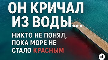  🦈 Акула напала на  туриста из России в Египте. История которую скрывали власти.