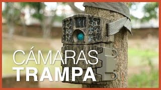 Cámaras Trampa: ¿Que son? ¿Cómo colocarlas? ¿Cómo elegirlas? | CCGSS