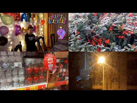 День Рождения Павла/Как празднуют в Турции/Наши будни с собакой