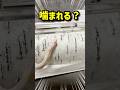 顔の前に指を・・・ #爬虫類 #白ヘビ #癒し