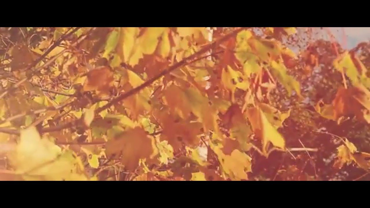 Lukas Termena   Autumn Walk Original Mix