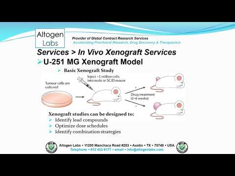 Altogen Labs U-251MG Xenograft Service Brain Cancer