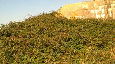 Mare Fontaine Battery - Normandy - Atlantic Wall