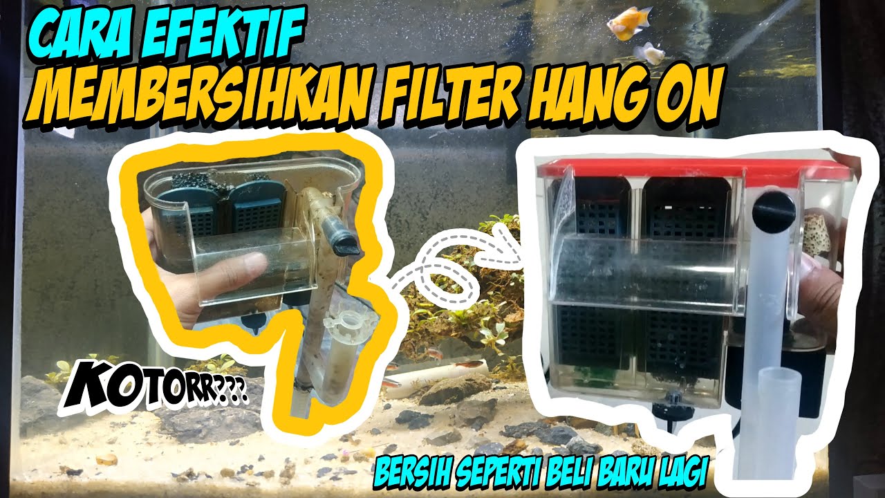 Cara efektif Membersihkan filter gantung Aquarium - YouTube