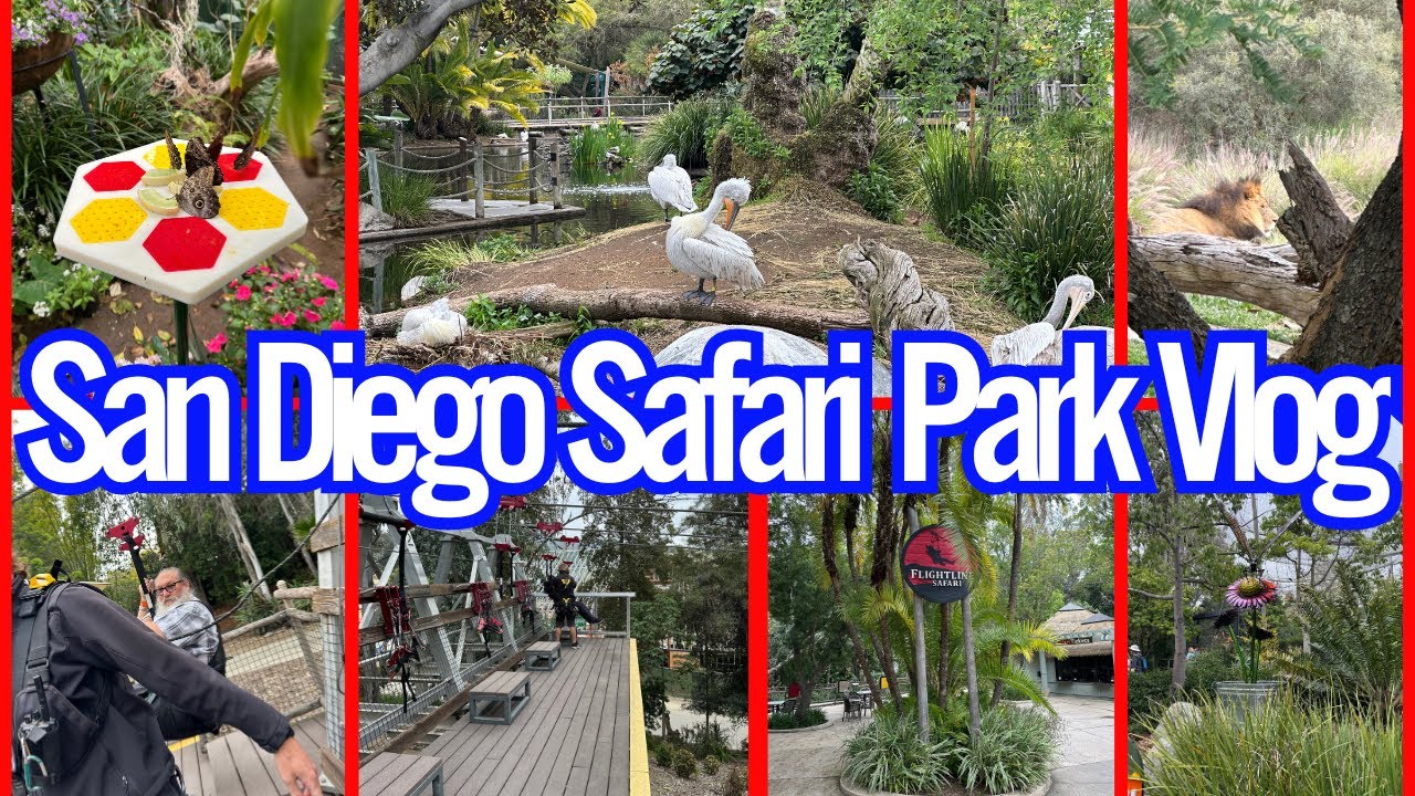 Wild Animal Safari Park San Diego Vlog Come W Me Safari Wild Animal wild-animal-safari-park-san-diego-vlog-come-w-me-safari-wild-animal