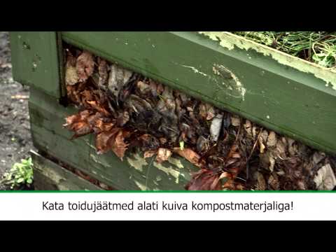 Video: Kompostikärbsed – põhjused ja parandused kompostis olevatele toakärbestele