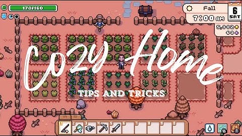 15 Tips and Tricks for Early-Game Fields of Mistria