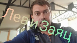 Анекдоты,без рекламы, анекдот, новый анекдот, ржач, про льва и зайца, новинка 2019г, анекдоти, юмор Анекдоты,без рекламы, анекдот, новый анекдот, ржач, про льва и зайца, новинка 2019г, анекдоти, юмор