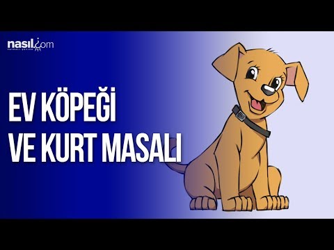 Ev Köpeği ve Kurt Masalı