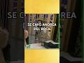 Se cayó de vuelta ANDREA DEL BOCA en GRAN HERMANO 🚨