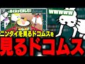 「ニンダイを見るドコムス」を見るドコムス【ドコムス雑談切り抜き】