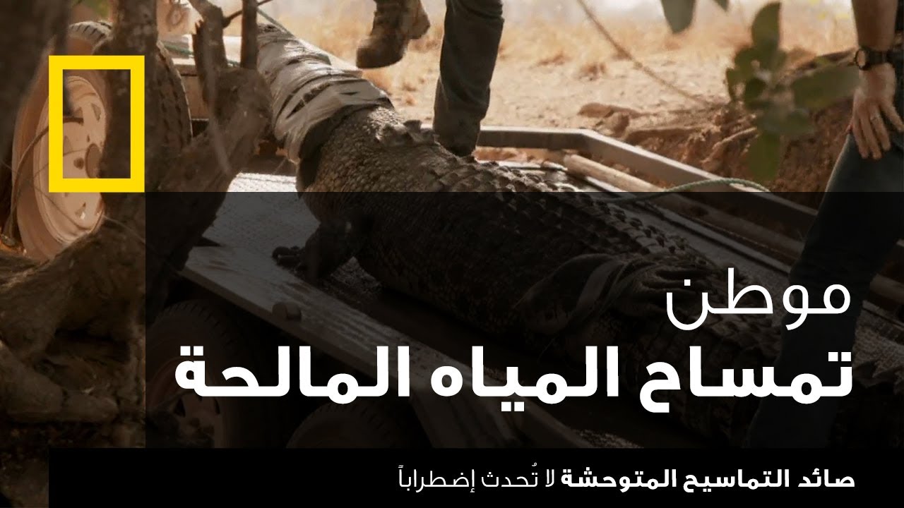 صائد التماسيح المتوحشة: لا تُحدث إضطراباً | ناشونال جيوغرافيك أبوظبي